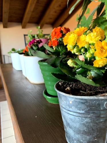a row of vases filled with flowers on a table at Masia de la Serra de la Cogulla in Peñarroya de Tastavins