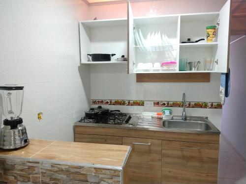 - une cuisine avec un évier et un comptoir dans l'établissement Apartamentos Maiver, à Ríohacha