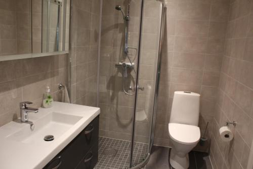 a bathroom with a shower and a toilet and a sink at Geilotunet H224 - 6 person apartment in Geilo