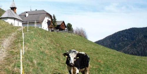 Berggasthof Trattes