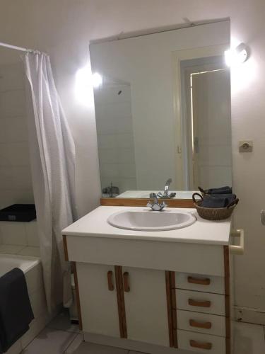 une salle de bain avec un lavabo et un miroir dans l'établissement Place Carnot, à Carcassonne
