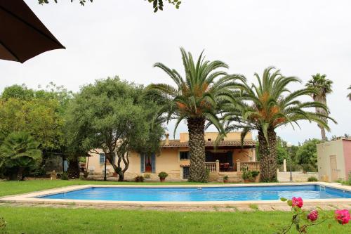 una casa con piscina y palmeras en Es garballons, en Manacor
