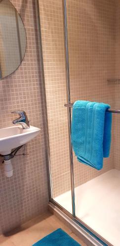 a bathroom with a shower with blue towels and a sink at La villa marquesa in Fitou
