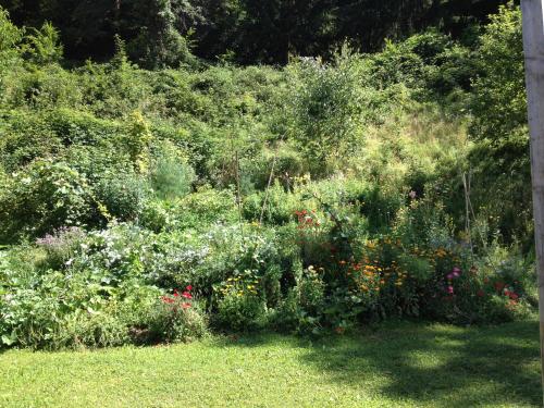 a garden filled with lots of different types of flowers at Südalpen Lofts in Bleiburg