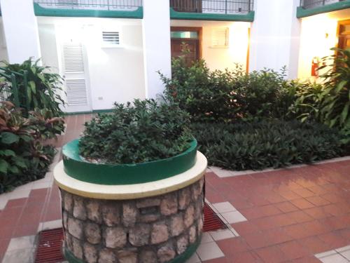 Gambar di galeri bagi Cool's 1 bedroom Beach & Garden View di Ocho Rios