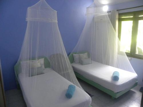 Duas camas num quarto com redes mosquiteiras brancas em Arabica Villa em Flic-en-Flac
