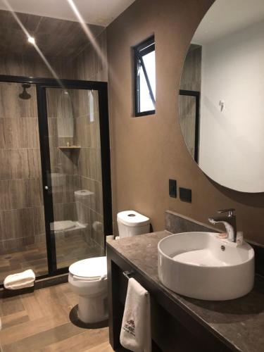 a bathroom with a sink and a toilet and a mirror at Hotel Isabel in Puebla