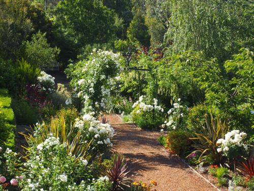 a garden filled with lots of plants and flowers at Delderfield Villas Adults Retreat in Marysville