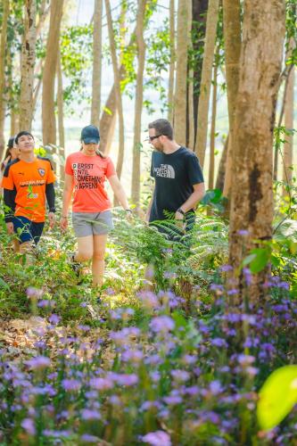 a group of people walking through a forest with flowers at Katiliya Mountain Resort And Spa in Mae Salong Nai