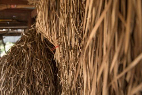 Φωτογραφία από το άλμπουμ του Chansor Homestay 16 By Siem Reap Homesteading σε Phumĭ Trach Pôk (2)