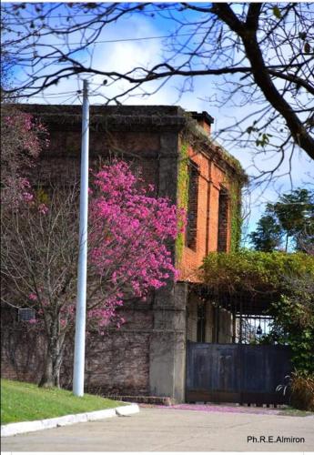 LA USINA VIEJA – Photos 4
