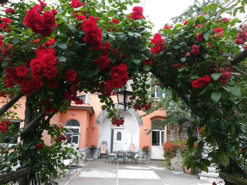 Antonio's House – Photos 3