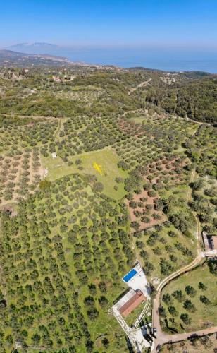 an aerial view of a field with trees and the ocean at Ag Thekla Est 1924 in Skinária