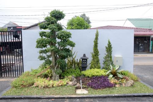 a tree in a garden in front of a building at RedDoorz Plus near UNIMED Medan in Medan