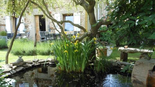 a garden with a pond with flowers and a tree at Domaine de Sault in Dore-lʼÉglise