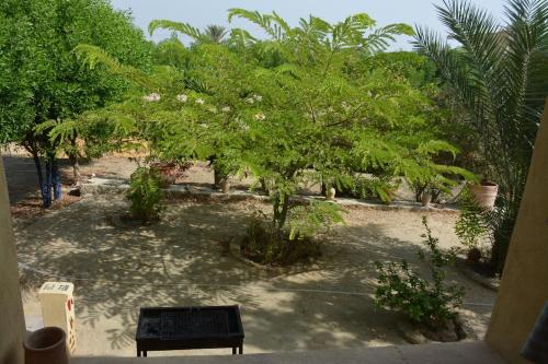 a view of a garden with a tree with white flowers at villa tunis village in ‘Izbat an Nāmūs