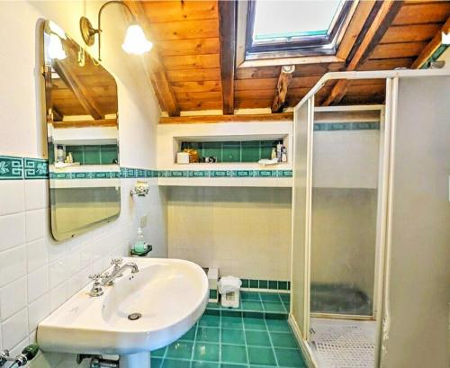 a bathroom with a sink and a shower at B&B La Casa del Ficus in Stazzo