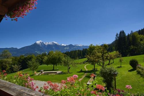 a view of a park with mountains in the background at Alpenhotel Hundsreitlehen in Bischofswiesen