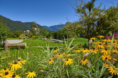 a field of yellow flowers in a park at Alpenhotel Hundsreitlehen in Bischofswiesen