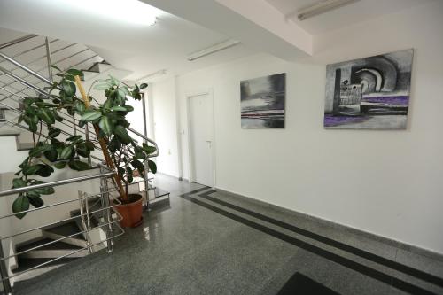 a room with a plant and paintings on the wall at Hotel Korzo in Bitola
