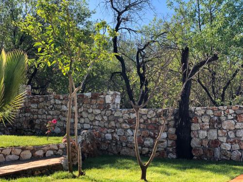 two trees in front of a stone wall at Kale Lodge - Adult Only + 15 in Kas