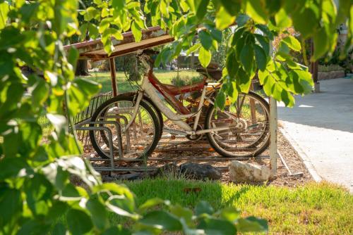 a bike parked under a tree in the grass at Holiday Village Kibbutz Mizra in Mizra‘