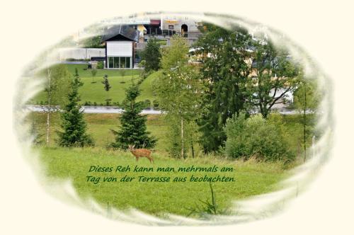 a picture of a house in a field with a tree at Apartment Dreier - Salzburger Land in Abtenau