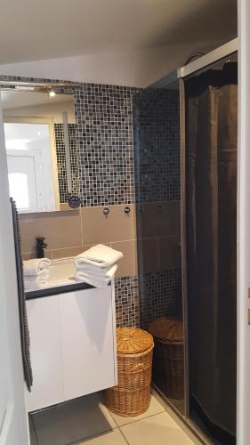 uma casa de banho com um chuveiro, um lavatório e um espelho. em homedelabaie em Pontorson