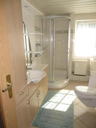 a bathroom with a shower and a sink and a toilet at Ferienwohnung Hemmerle in Bispingen