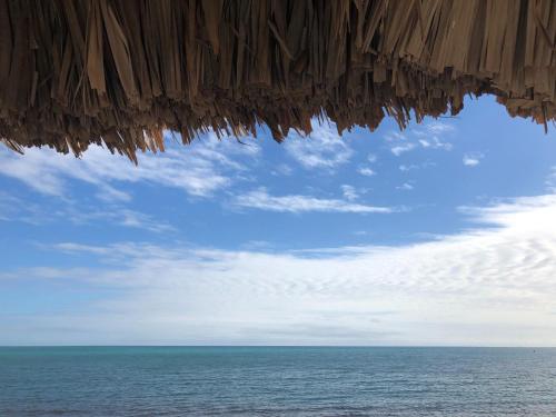a view of the ocean from a straw roof at Ocean Breeze in Placencia Village