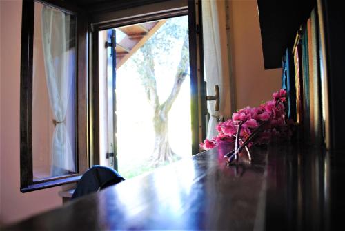 a bunch of pink flowers sitting on a table at AGRITURISMO MELOGRANO D'ORO in Bardolino