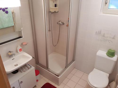 une salle de bain avec une douche, des toilettes et un lavabo dans l'établissement Big flat in the heart of Valais, à Martigny-Combe