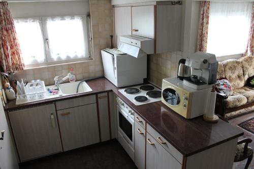 une petite cuisine avec un évier et un micro-ondes dans l'établissement Big flat in the heart of Valais, à Martigny-Combe