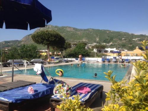 una piscina con persone in acqua di Hotel Al Bosco a Ischia
