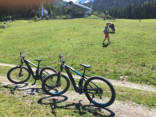 Jízda na kole v ubytování Hotel Alpin nebo okolí