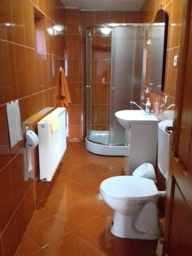 a bathroom with a toilet and a sink and a shower at Casa din prund Ocolis in Ocoliş
