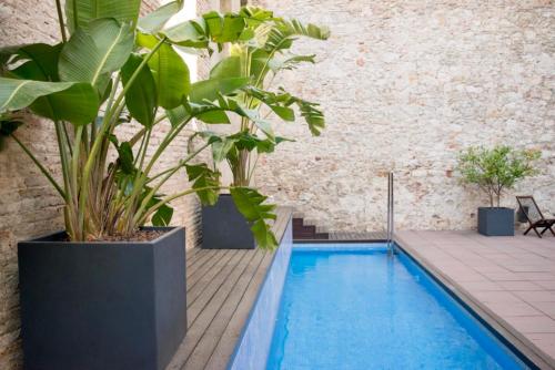 a swimming pool with plants and a brick wall at Onix Liceo in Barcelona