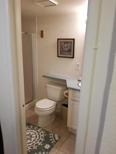 a bathroom with a toilet and a sink at Southern Hospitality House in Lakewood