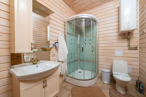 a bathroom with a shower and a sink and a toilet at Brech Resort&Spa in Gurinovka Staraya