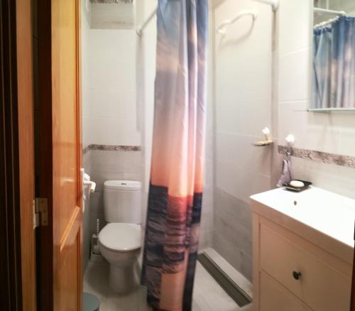 uma casa de banho com um WC e uma cortina de chuveiro em Large beachfront apartment Medano em El Médano