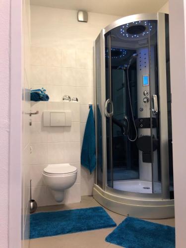 a bathroom with a toilet and a shower with blue rugs at International in Bad Harzburg