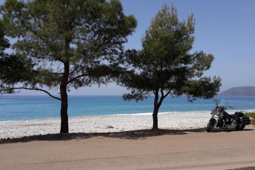 a motorcycle parked next to two trees on the beach at Pirgaki Studios in Kardamili