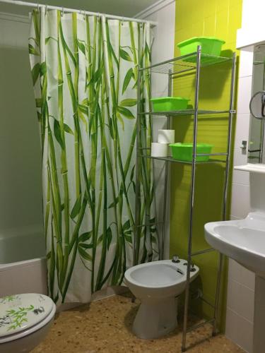 BeniopaにあるApartament Evaのバスルーム(トイレ、緑のシャワーカーテン付)
