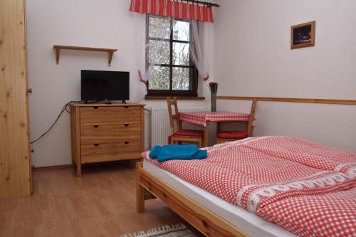 1 dormitorio con cama y vestidor con TV en Ubytování U Rohelů en Karlova Studánka
