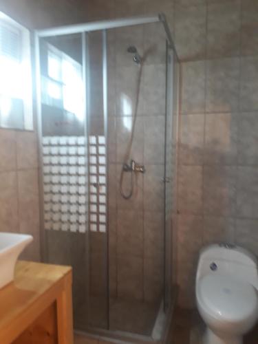 a bathroom with a shower with a toilet and a sink at CASA MACAW in San Pedro de Atacama