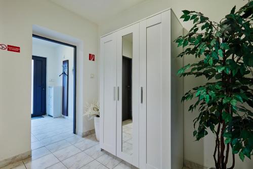 a hallway with white cabinets and a potted plant at Holiday houses BARCA in Košice