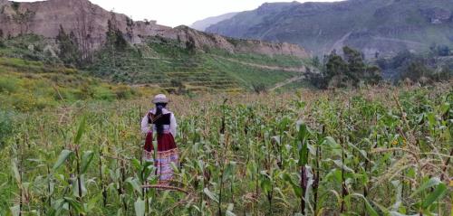 Paysage naturel près de le séjour chez l'habitant