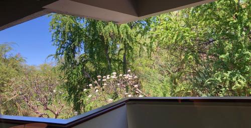 a large window in a room with trees at Kona Magic Honu Room in Kailua-Kona