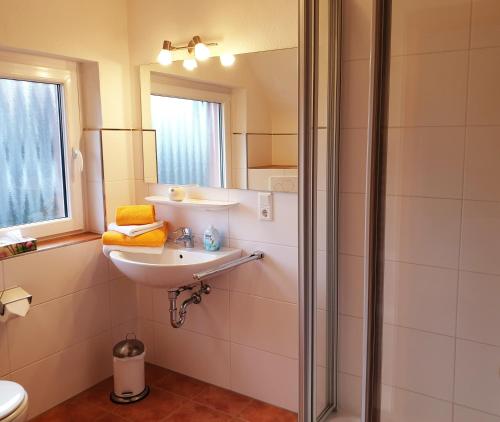 La salle de bains est pourvue d'un lavabo et d'une douche. dans l'établissement Ferienwohnungen Tannenhof, à Willingen