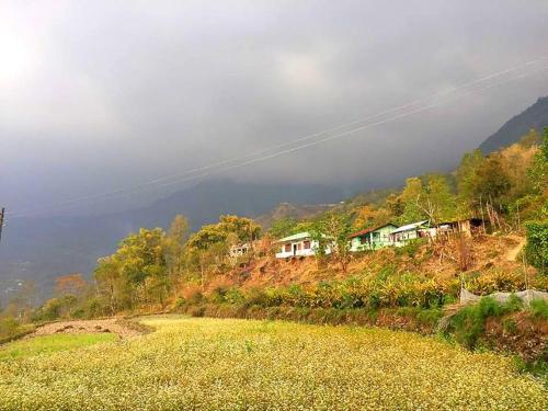 a house on the side of a hill at VAMOOSE PARKHA SIKKIM in Rangli